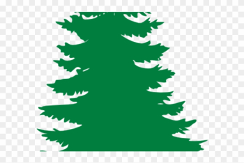 Pine Tree Clipart Oregon Tree - Evergreen Tree Clipart Pine Tree Clipart Oregon Tree - Evergreen Tree Clipart