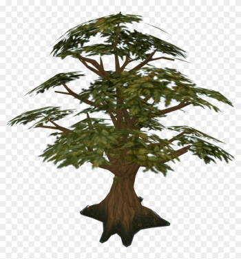 Pine Tree Clipart Swamp Tree - Runescape Oak Tree Pine Tree Clipart Swamp Tree - Runescape Oak Tree