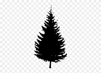 Pine Tree Deciduous Tree Black Adn White Clipart Cliparthut - Pine Tree Outline Png