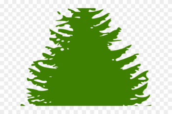 Pine Tree Graphic - Pine Tree Silhouette