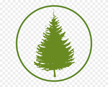 Pine Tree Silhouette