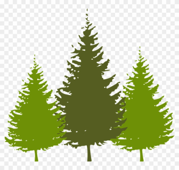 Pine Tree Silhouette Clipart - Pine Tree Silhouette Vector