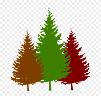 Pine Tree Silhouette Vector
