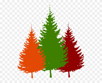 Pine Tree Silhouette Vector