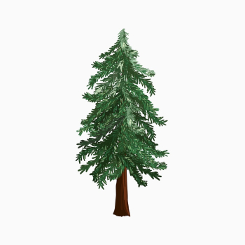 Pine tree sticker, collage element | Free Photo Illustration - rawpixel Pine tree sticker, collage element | Free Photo Illustration - rawpixel
