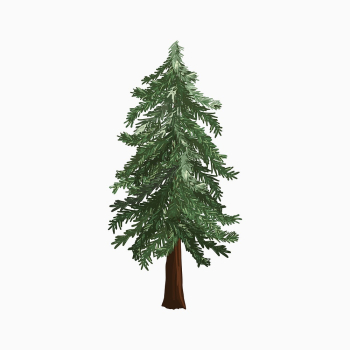 Pine tree sticker, collage element | Free PSD Illustration - rawpixel Pine tree sticker, collage element | Free PSD Illustration - rawpixel