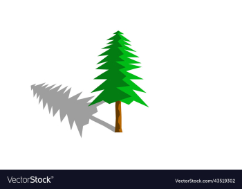 pine tree with white background pine tree with white background