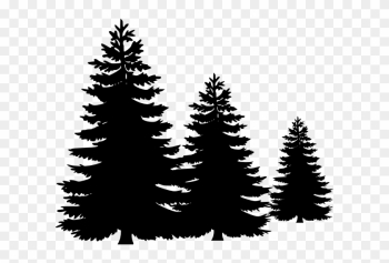 Pine Trees Clip Art - Pine Trees Clipart Black And White Pine Trees Clip Art - Pine Trees Clipart Black And White