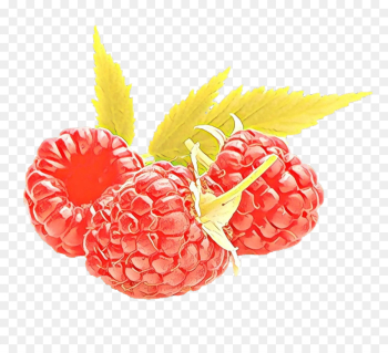 Pineapple Pineapple