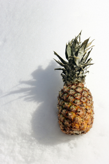 Pineapple
