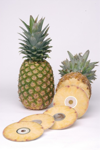 Pineapple and Pineapple Disc