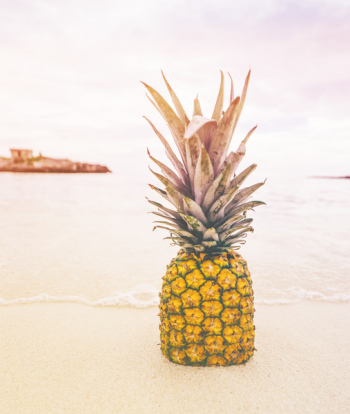 Pineapple at Beach Sand Pineapple at Beach Sand