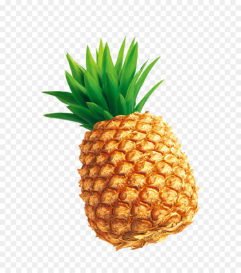 Pineapple Download - Tempting pineapple 