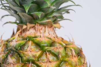 Pineapple Fruit Pineapple Fruit