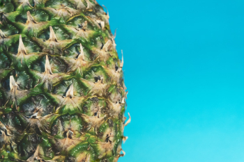 Pineapple Fruit Pineapple Fruit