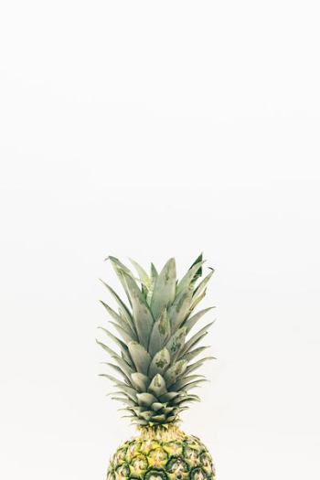 pineapple fruit pineapple fruit