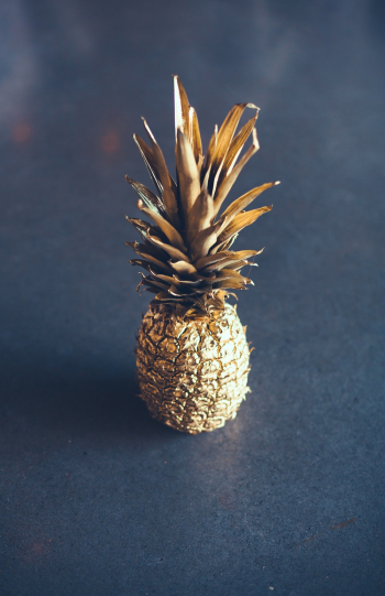 Pineapple Fruit Pineapple Fruit
