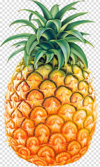 Pineapple fruit, Pineapple Fruit , Pineapple , free transparent background PNG clipart