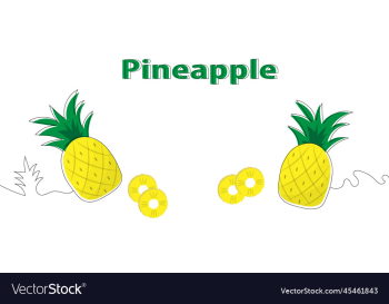 pineapple in white background pineapple in white background
