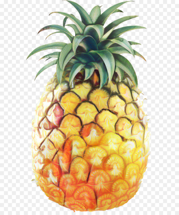 Pineapple, Juice, Pineapple Juice, Fruit PNG Pineapple, Juice, Pineapple Juice, Fruit PNG
