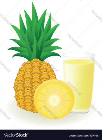 Pineapple juice vector image Pineapple juice vector image