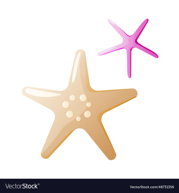 pink and brown starfishes pink and brown starfishes