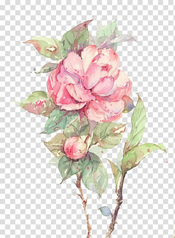 Pink and green flower illustration, Flower Pink, Pink flowers transparent background PNG clipart