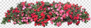 Pink and red flowers , Flower garden Grow light Raised-bed gardening, balcony transparent background PNG clipart