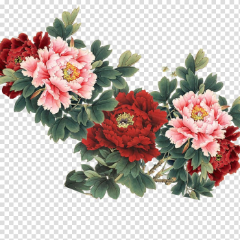 Pink and red flowers, Moutan peony Flower , peony transparent background PNG clipart Pink and red flowers, Moutan peony Flower , peony transparent background PNG clipart