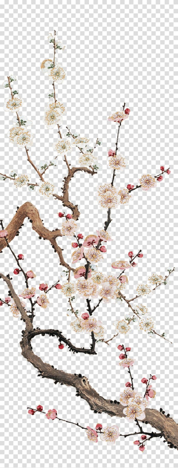 Pink and white flowers illustration, Cherry blossom Plum blossom Flower, Plum flower transparent background PNG clipart