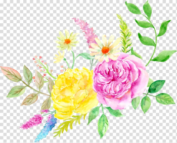 Pink and yellow roses illustration, Garden roses Centifolia roses Watercolor painting Floral design Flower, Elegant watercolor flowers transparent background PNG clipart