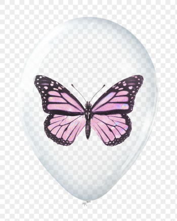 Pink butterfly png sticker, animal | Free PNG - rawpixel Pink butterfly png sticker, animal | Free PNG - rawpixel