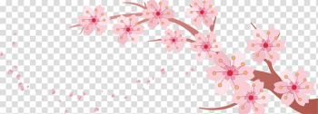 Pink cherry blossom flowers illustration, Cherry blossom Banner Template, Cherry branch transparent background PNG clipart