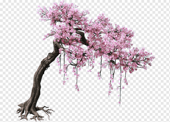 pink cherry blossom tree, Peach Tree Color, Game scene trees, purple, tree Branch, branch png