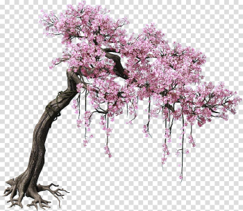 Pink cherry blossom tree, Peach Tree Color, Game scene trees transparent background PNG clipart