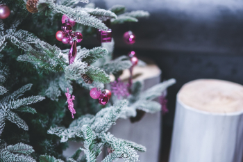 Pink Christmas Tree Decorations Pink Christmas Tree Decorations
