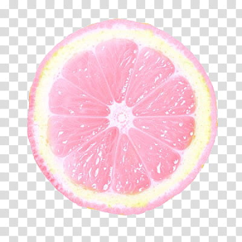 , pink citrus fruit transparent background PNG clipart , pink citrus fruit transparent background PNG clipart