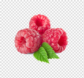 Pink cranberries, Raspberry ketone Fruit preserves Raspberry extract, Raspberry transparent background PNG clipart