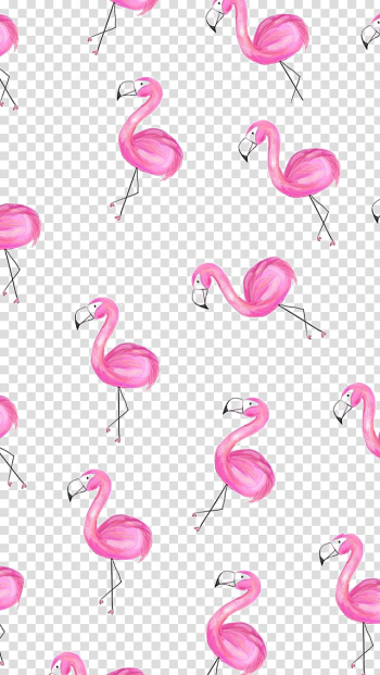 Pink flamingo , Greater flamingo Paper , Flamingos transparent background PNG clipart