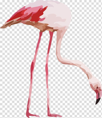 Pink flamingo illustration, Flamingo Watercolor painting Illustration, Watercolor painted background Flamingo transparent background PNG clipart