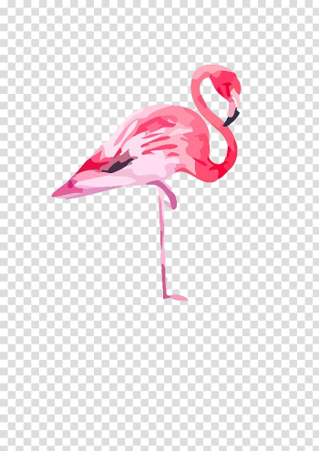 Pink flamingo illustration, Watercolor painting Flamingo Canvas Printing, flamingo transparent background PNG clipart