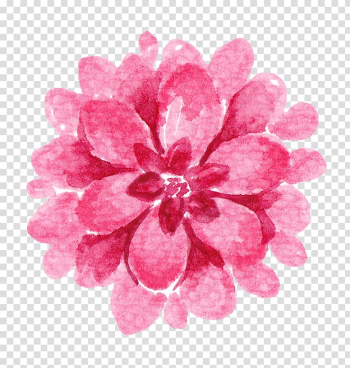 Pink flower illustration, Drawing Flower Watercolor painting Illustration, Drawing Indian national wind album transparent background PNG clipart