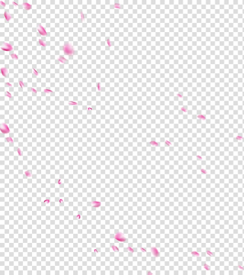 Pink flower petals , Pink Petal Rose, Water Drops Rose Rose Petals transparent background PNG clipart