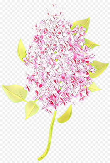pink flower plant cut flowers anthurium pink flower plant cut flowers anthurium