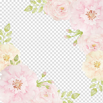 Pink flowers Beach rose , Flowers borders, pink and beige flower border transparent background PNG clipart