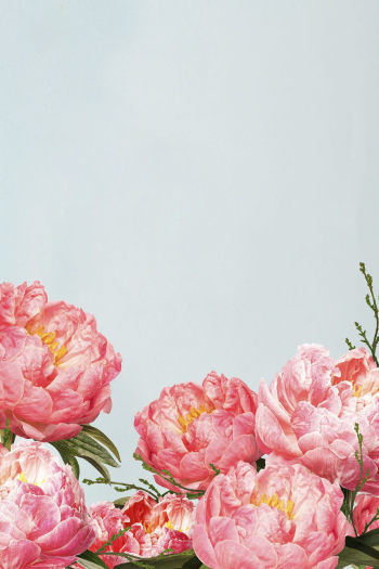 Pink flowers border background background, | Free Photo - rawpixel Pink flowers border background background, | Free Photo - rawpixel