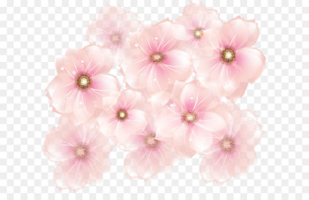 Pink flowers Clip art - Pink Flowers Transparent Clipart Pink flowers Clip art - Pink Flowers Transparent Clipart