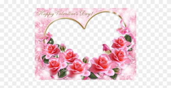 Pink Flowers For Valentine's Day - Valentines Day Pink Roses Pink Flowers For Valentine's Day - Valentines Day Pink Roses