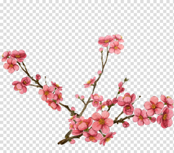 Pink flowers illustration, Watercolor painting Plum blossom , Pink plum blossom design transparent background PNG clipart