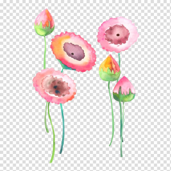 Pink flowers illustration, Watercolour Flowers Watercolor: Flowers Painting, Watercolor flowers background transparent background PNG clipart